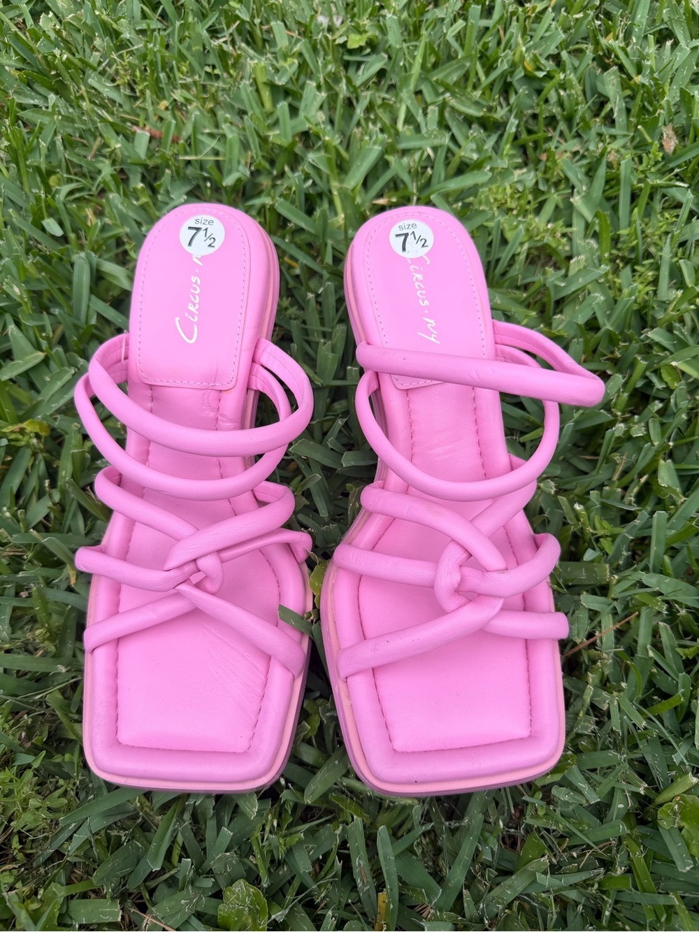 Circus by Sam Edelman Savanna Pink Carnation Heels Size 7.5